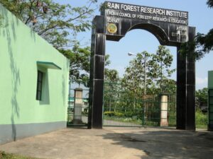 Rain Forest Research Institute